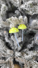 Load image into Gallery viewer, Yellow Mushroom Earrings