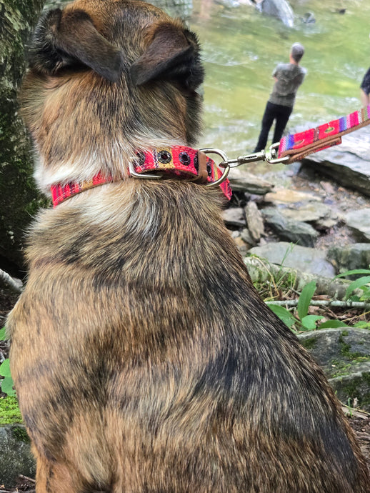Guatemalan Leather Dog Collar  and Leash