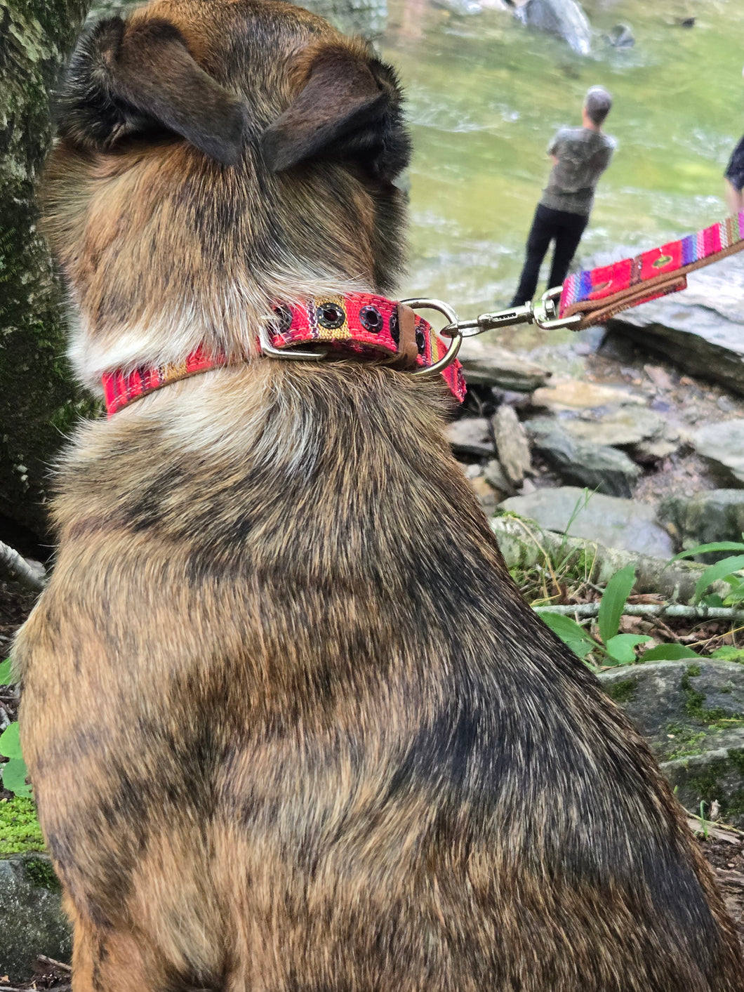 Guatemalan Leather Dog Collar  and Leash