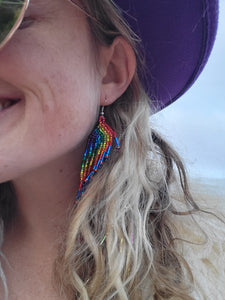Shiny Rainbow Wings Earrings